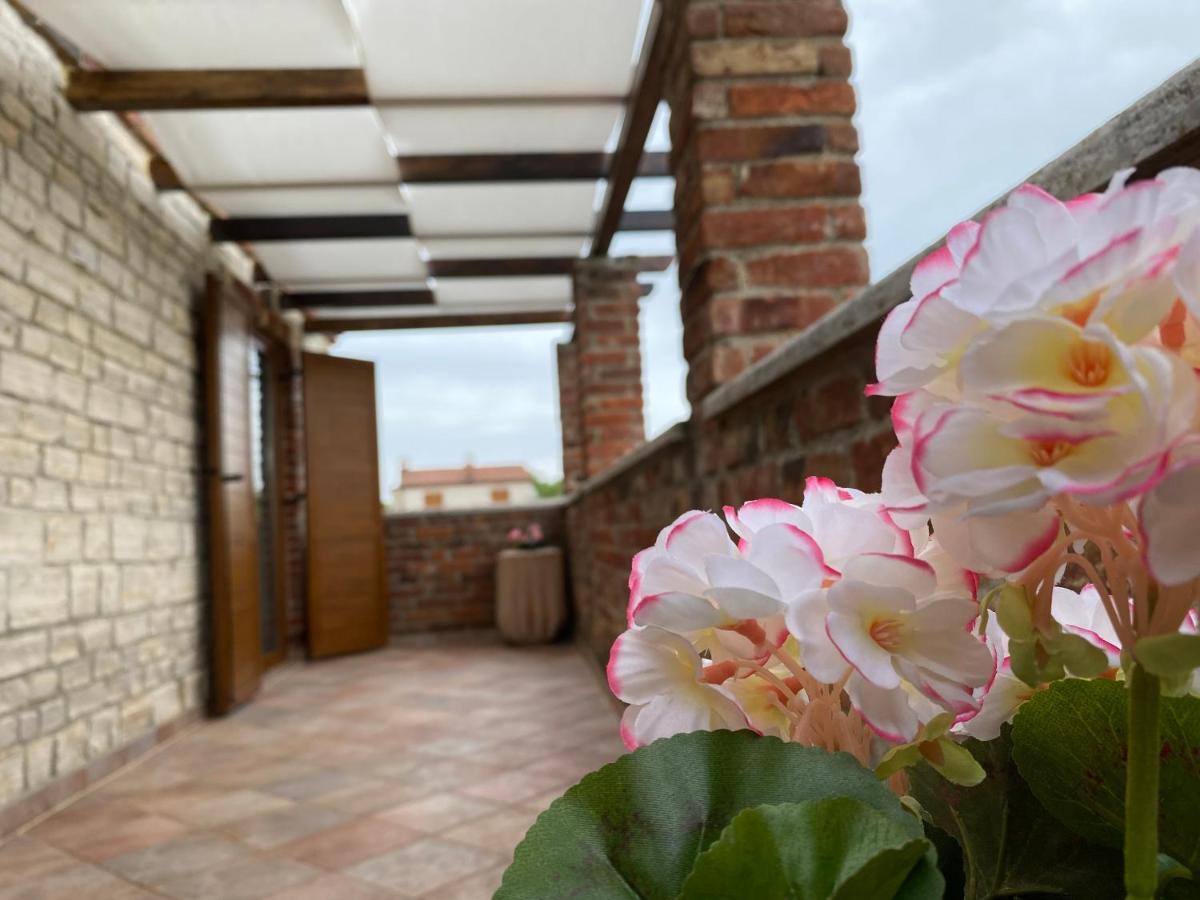 Paradise Villa Cassonni Istria 4 Stars Butkovići 外观 照片